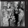 The Sight Below - Glider